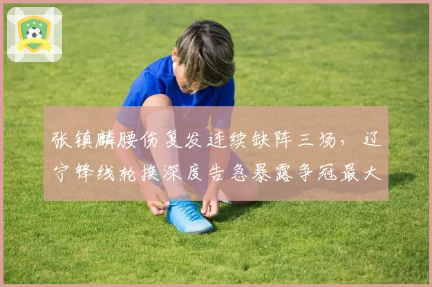 张镇麟腰伤复发连续缺阵三场，辽宁锋线轮换深度告急暴露争冠最大隐患